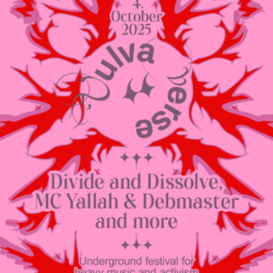 Vulvaverse 2025