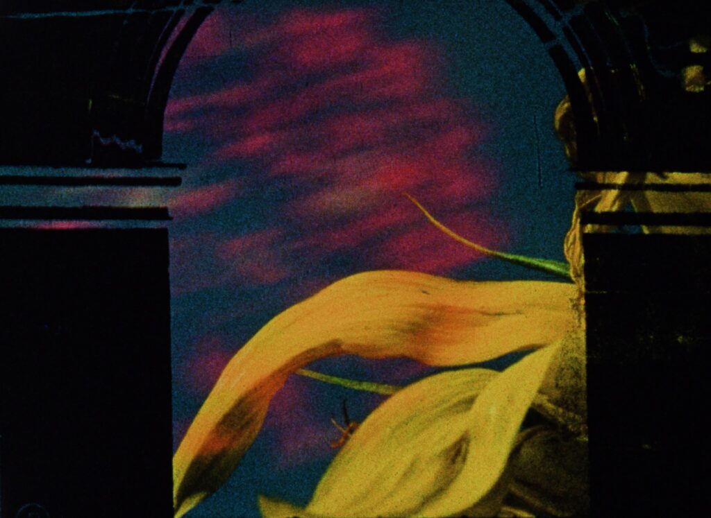 Diffraction 16mm Touring Programme