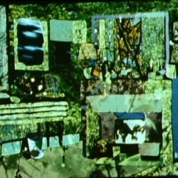 25 years of Filmwerkplaats - FILM PROGRAM-SHORTS #1