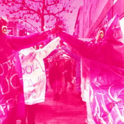 Treated photograph in pink of a line of people, backs to the camera, giving high fives