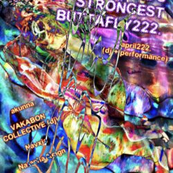 CH111NEKE'S STR0NGEST BUTTAFLYY222