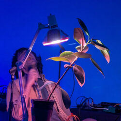 Electric Umbrella #34: Territorial Gobbing (UK), Zheng Hao (UK) & Lawrence McGuire (Rdam)