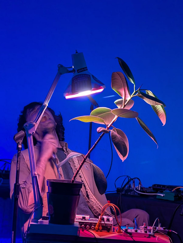 Electric Umbrella #34: Territorial Gobbing (UK), Zheng Hao (UK) & Lawrence McGuire (Rdam)